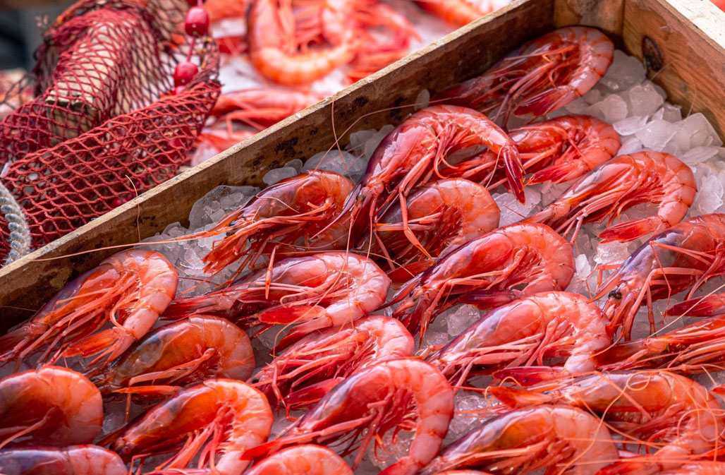 The image showcases the vibrant and delectable Garrucha red prawns, a delicacy known for their unique taste and texture. These prawns, with their distinctive deep red hue, are sourced from the waters near Garrucha.