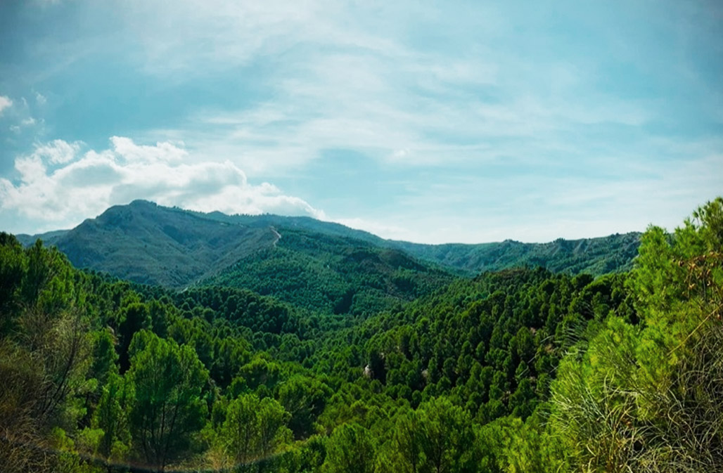 Panoramic view of the Sierra Cabrera Mountains, with lush greenery covering undulating hills under a bright blue sky with wispy clouds.
